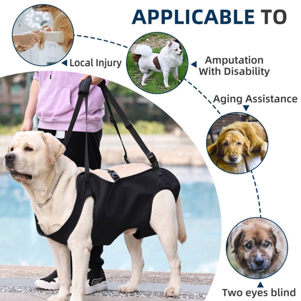 Pet Dog Carrier Traction Belt Senior Dog Assistance Belt Oxford Cloth Dog Booster Belt Pet Supplies