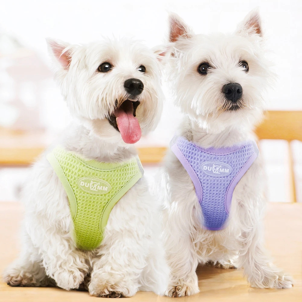 Escape Proof Cat Harness and Leash Set Adjustable Mesh Dog Harness Vest Puppy Pet Walking Leash Small Dogs Cats Kitten