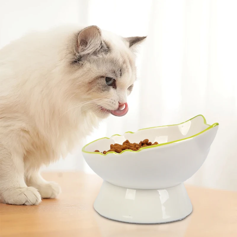 Raised Cat Bowl Elevated Cat Food Bowl Stable Protect Pet's Spine Durable Pet Feeding Dish Kitten Water Bowl for Cats Dogs