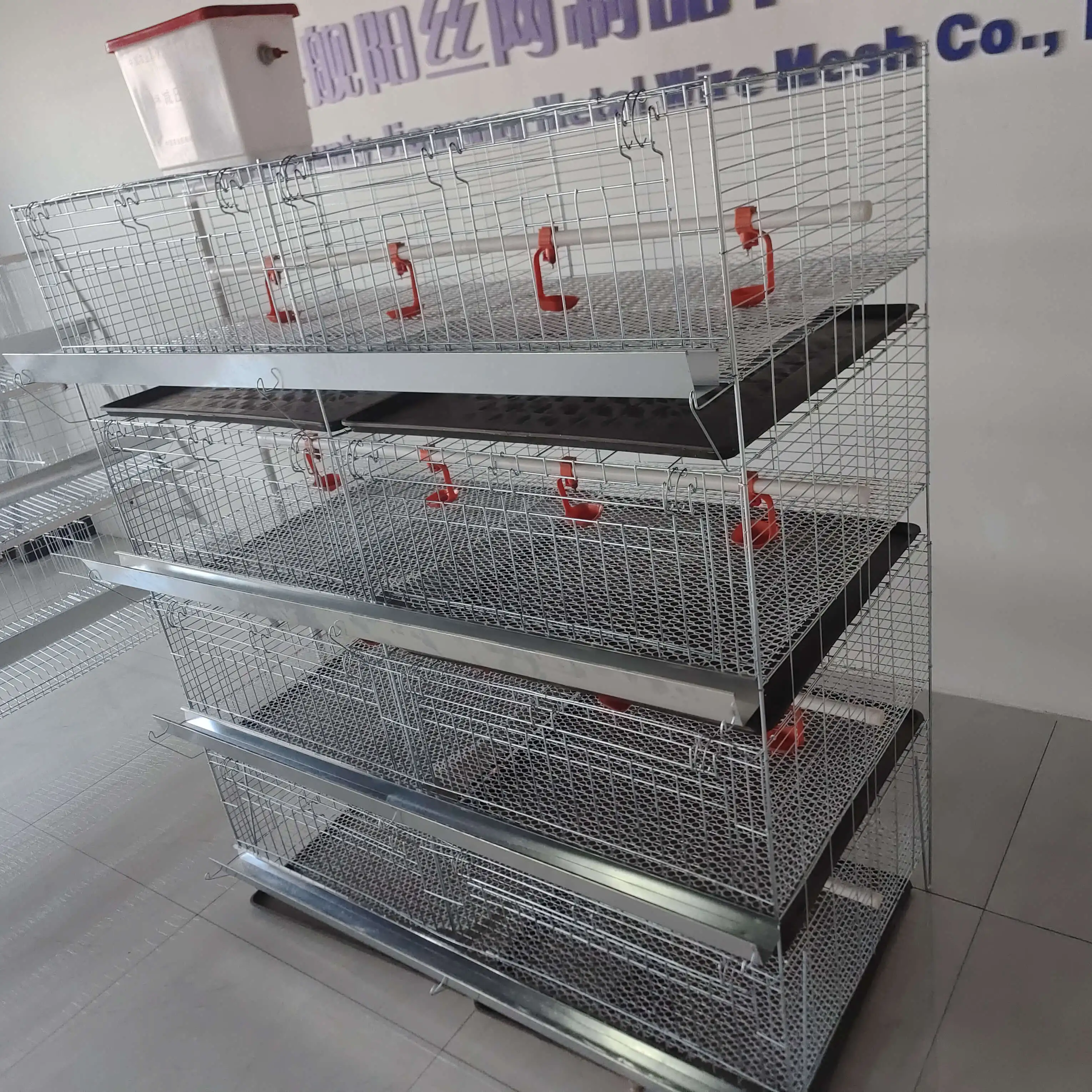 Chicken Cage Little Baby Chicks Egg Broiler Chicken Cage with Automatic Drinking System
