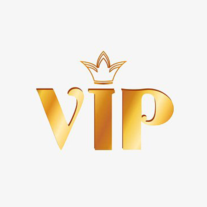 VIP order pay money only for right others purse payment for brandbag payments link only for vip custom order more items contact us for picture VIP order payments link