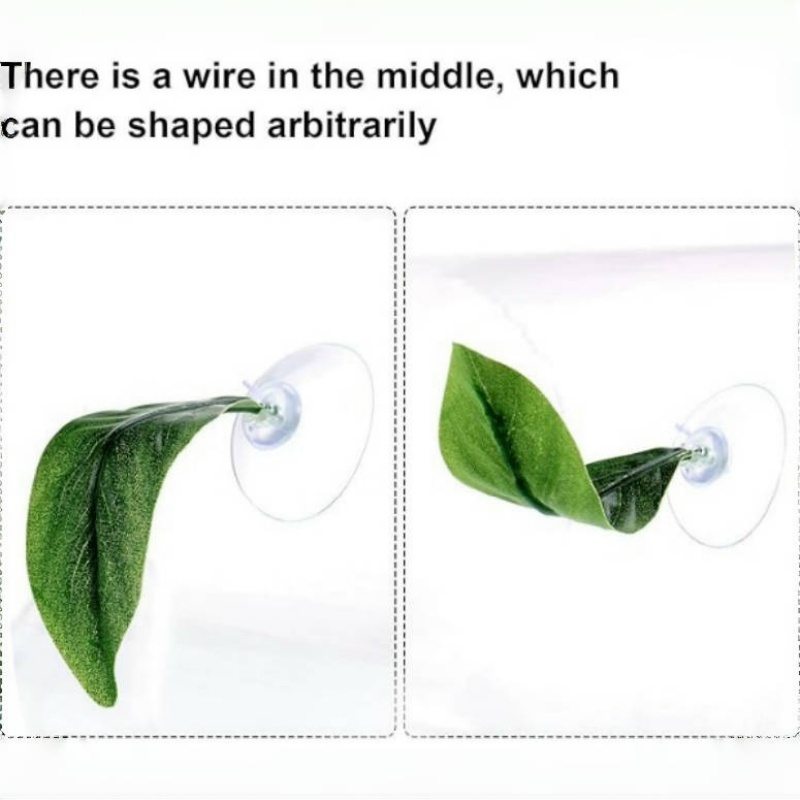 2Pcs Betta Bed Leaf Pad Hammock for Betta Fish Improves Betta's Health by Simulating The Natural Habitat Natural Rest Area