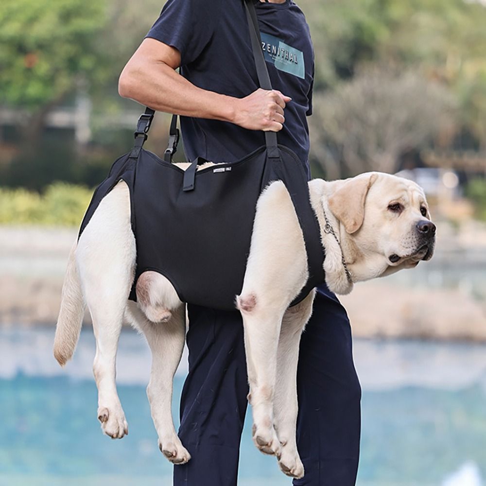 Pet Dog Carrier Traction Belt Senior Dog Assistance Belt Oxford Cloth Dog Booster Belt Pet Supplies