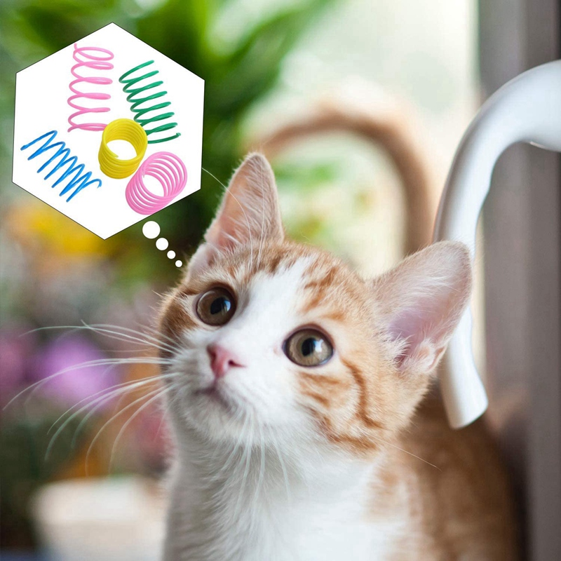 12Pcs Interactive Cat Toys, Colorful Spring Cat Toy Plastic Coil Spiral Springs Toys For Cat Kitten Pets Novelty Gift