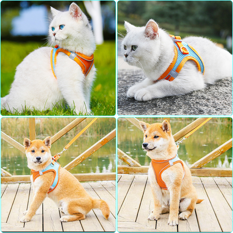 Reflective Dog Harness Leash Breathable Pet Harness for Small Medium Dogs Cat Puppy Chest Vest Walking Leash Set Dog Accessories