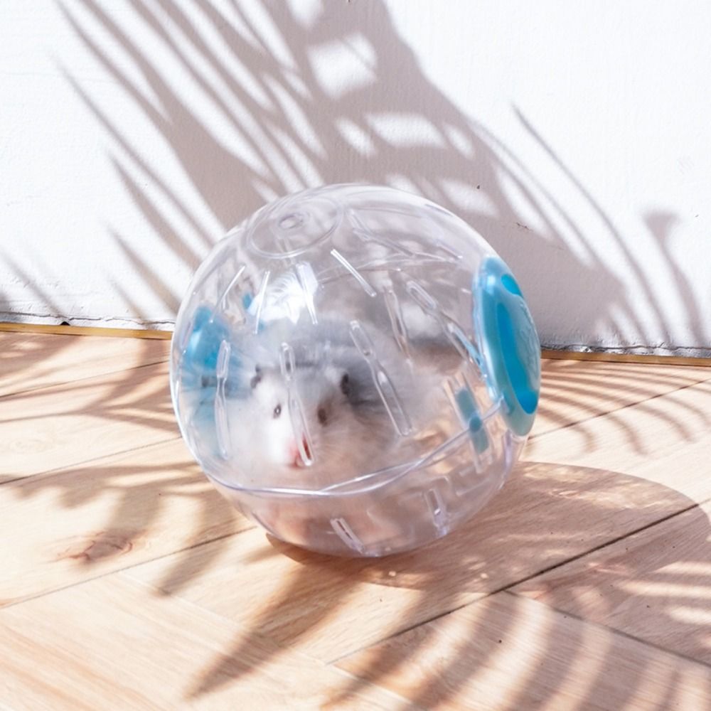Small Pet Toy Hamster Toys Running Ball Hamster Large Ball Exercising Wheels Animal Accessories