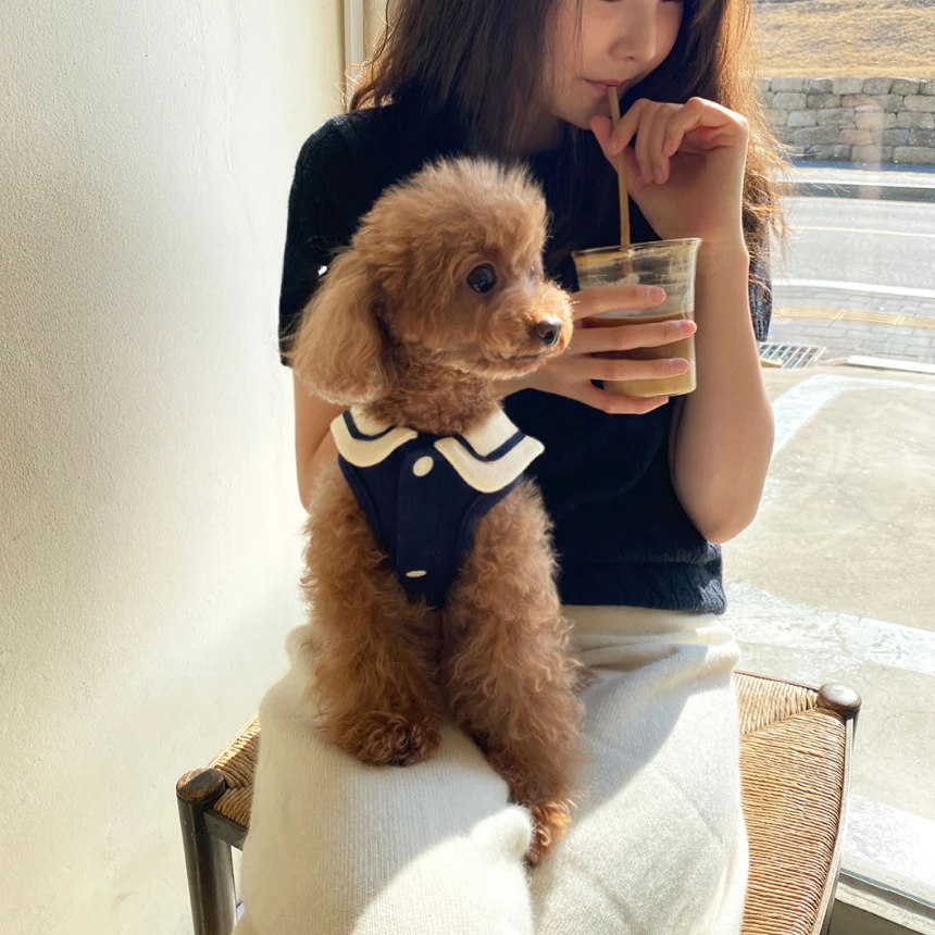 Dog Clothes Pet Cat Fur-proof Small Vest Clothing