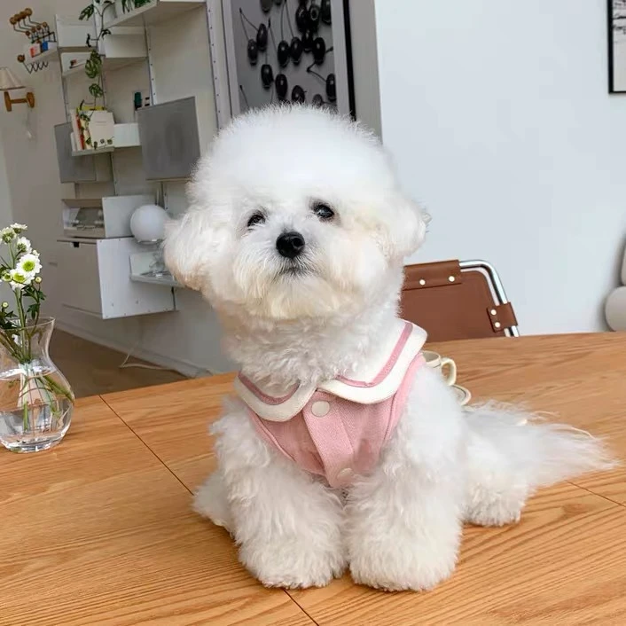 Dog Clothes Pet Cat Fur-proof Small Vest Clothing