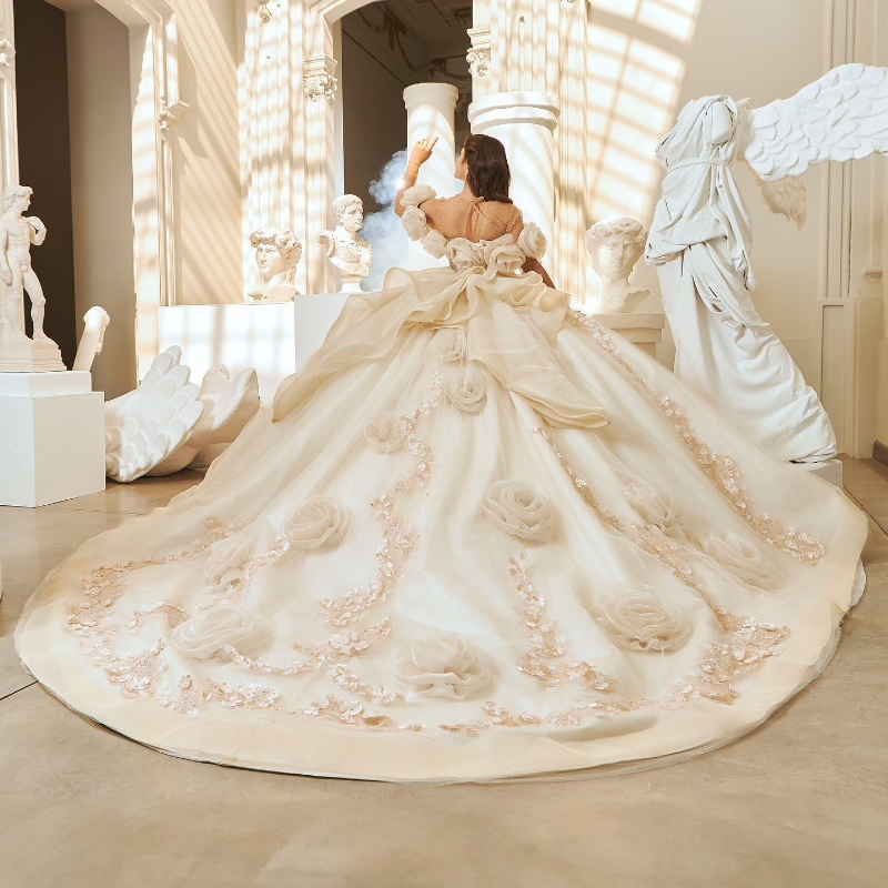 Beige Quinceanera Dresses Ball Gown Off The Shoulder 3D ral Applique Beaded Tull Corset Sweet 16 Dress Vestidos De 15 Anos