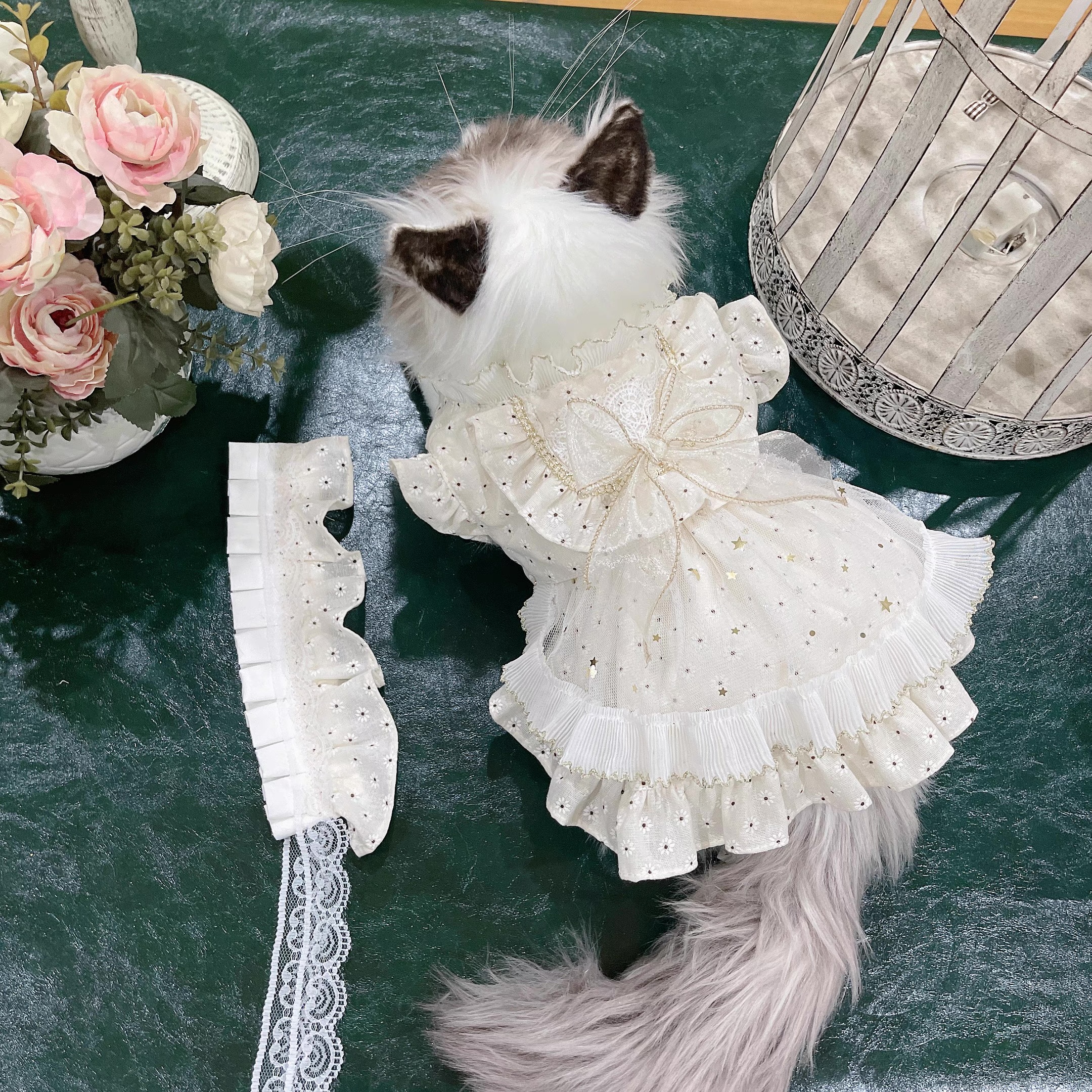 Original design pet cat Dog Rabbit dress Princess skirt Little Daisy Yorkshire Bee Teddy bear