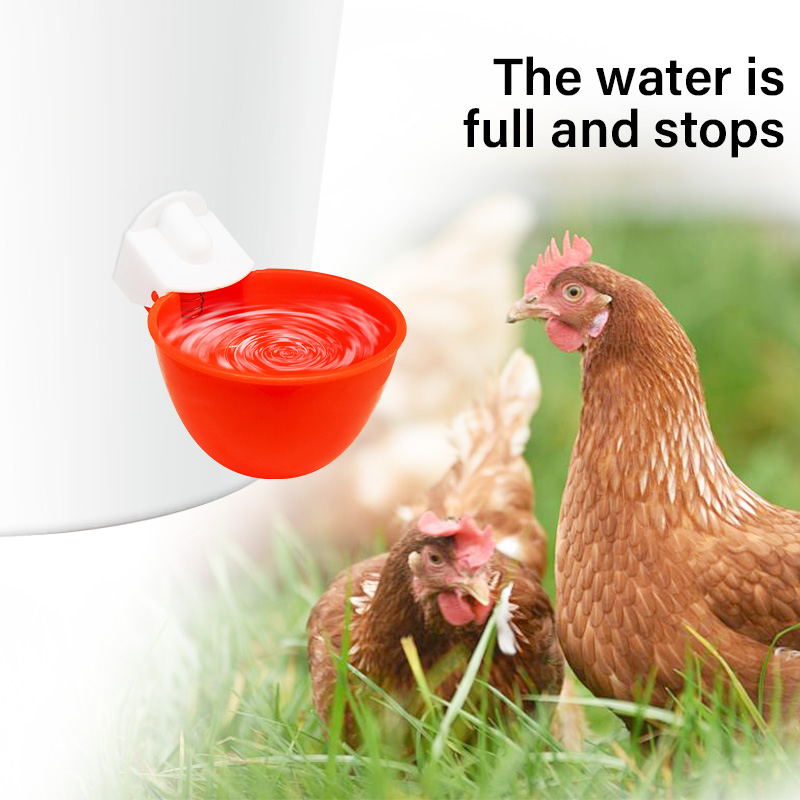 5 Pcs Chicken Drinker Automatic Poultry Drinker Automatic Chicken Drinkers Bowls For Chicken Duck Goose Birds Poultry Water Cup