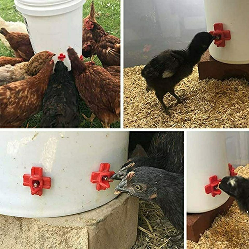 10 Pcs Automatic Chicken Nipple Drinker 360 Degree Bucket Water dispenser Cross-shaped Duck Waterer Hens Quail Pigeon Drinker