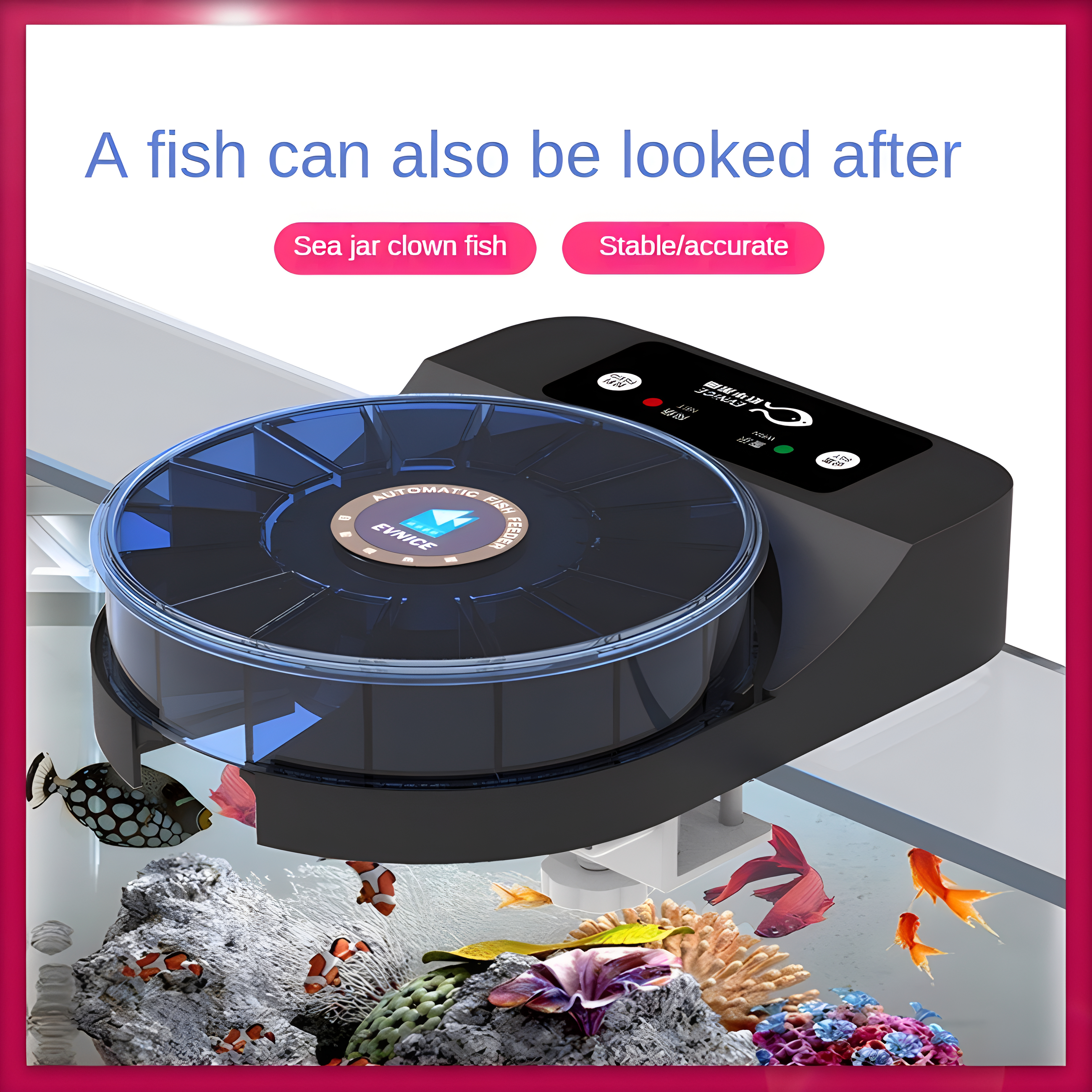 Fish feeder automatic feeder fish timing and quantitative feeder small ornamental shrimp goldfish powder small particle feeding