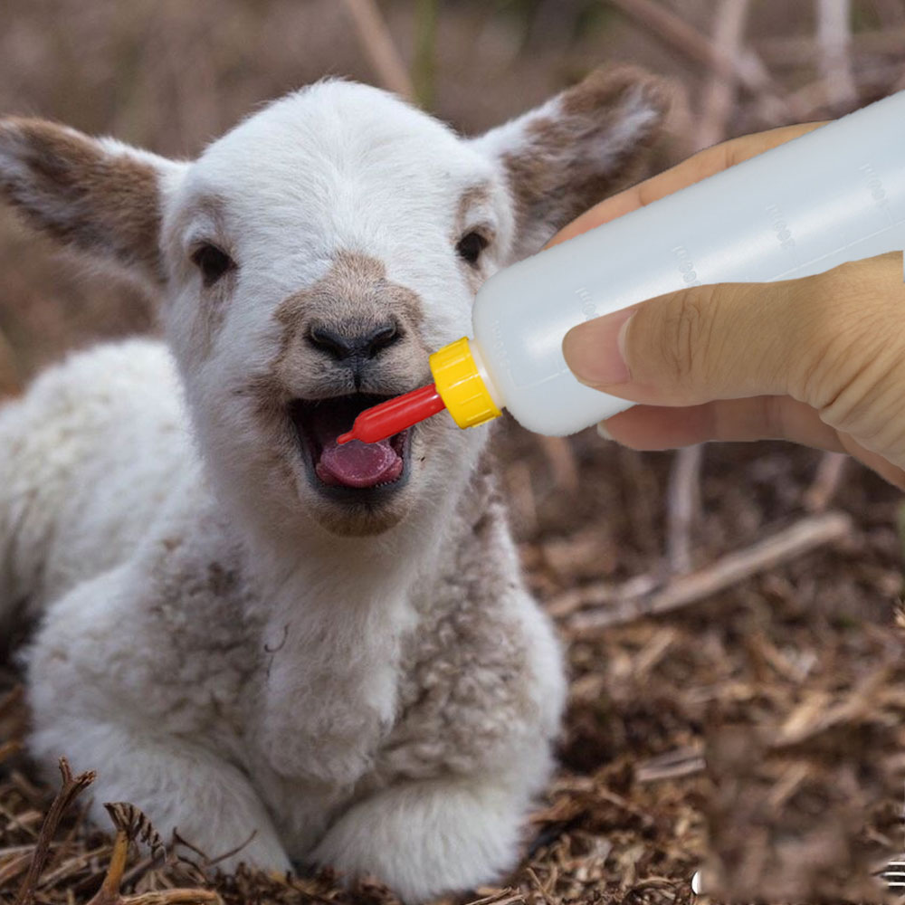 10PC Soft Rubber Nipple Farm Poultry Livestock Sprite Coke Bottle Milk Drink Pacifier for Sheep Goat Lamb Livestock Feeding Tool