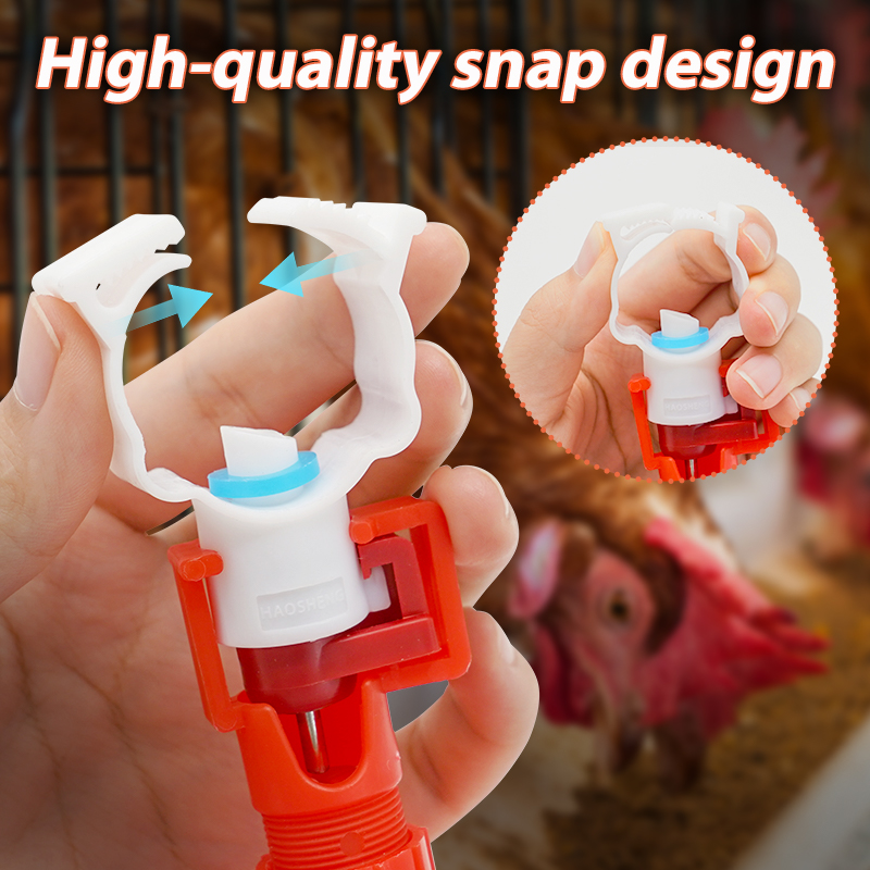 10/20 Pcs Automatic Chicken Water Nipple Drinker Bowl Chick Bird Drinking Hanging Cups Waterer Fountain Quail Farm Accessories