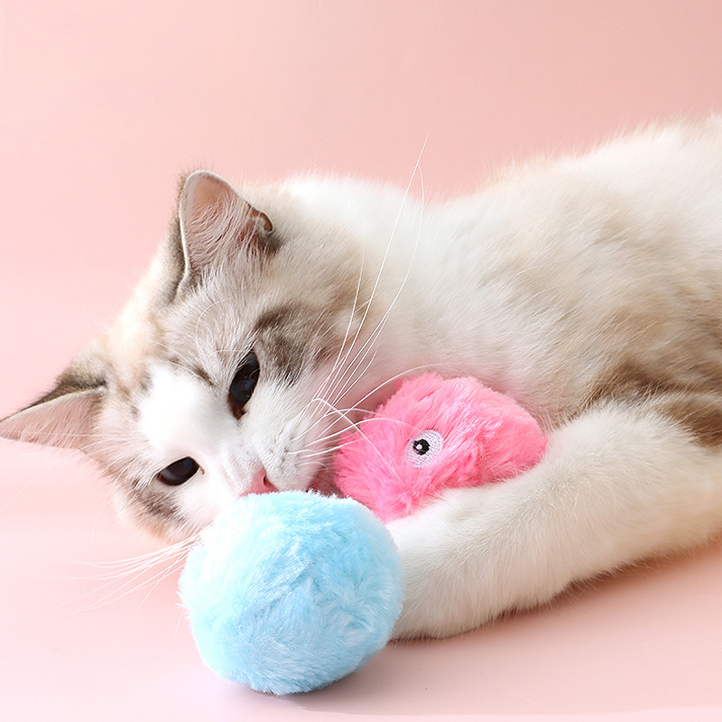 Smart Cat Toys Interactive Ball Catnip Cat Training Toy Pet Playing Ball Pet Squeaky Supplies Pet Product Squeak Toy Ball