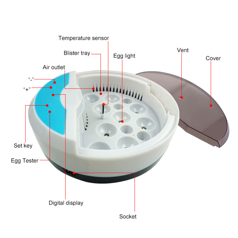 Small household 9 incubators automatic constant temperature chicken, duck and bird egg incubator Rutin chicken egg incubator