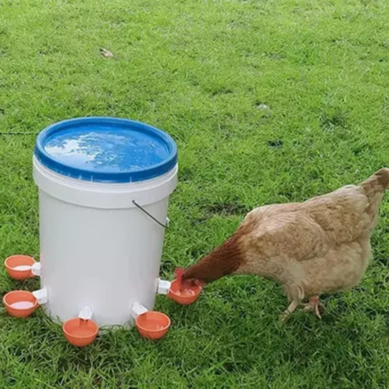 1-10Pcs Chicken Quail Hanging Water Cups Chicken Drinker Automatic Poultry Drinker Birds Water Bowl Drinker Cups for Poultry