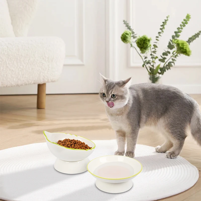 Raised Cat Bowl Elevated Cat Food Bowl Stable Protect Pet's Spine Durable Pet Feeding Dish Kitten Water Bowl for Cats Dogs