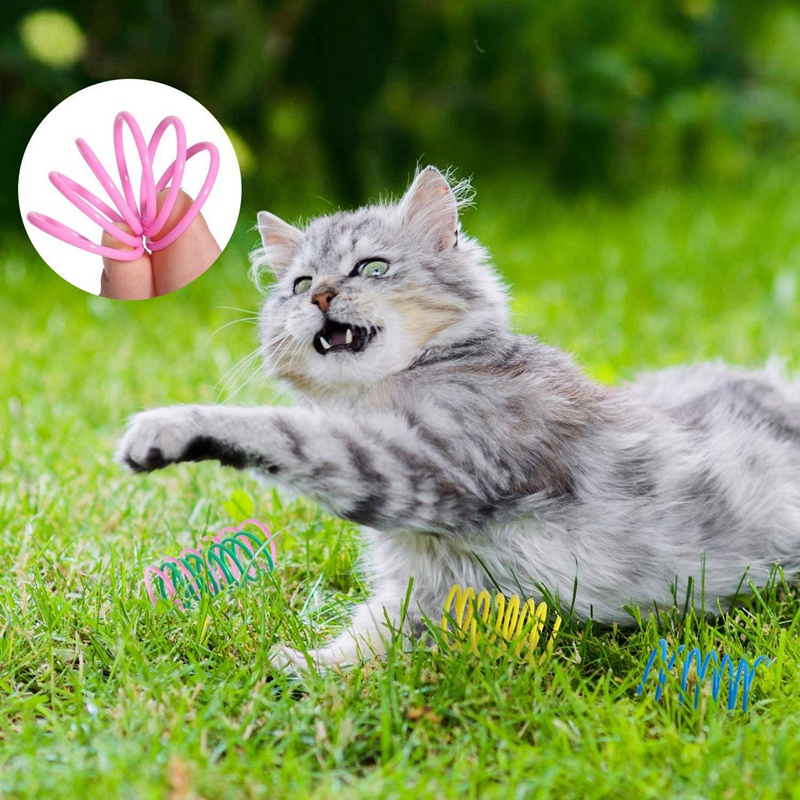 12Pcs Interactive Cat Toys, Colorful Spring Cat Toy Plastic Coil Spiral Springs Toys For Cat Kitten Pets Novelty Gift