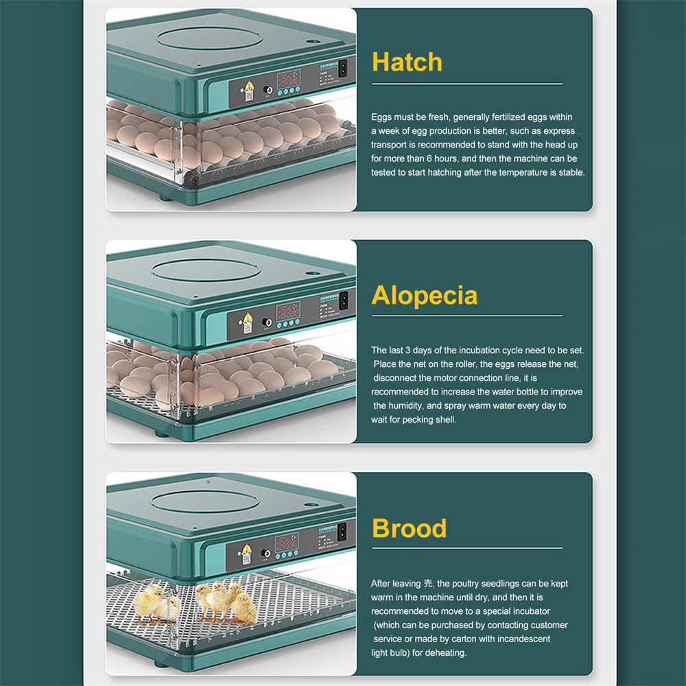 9/15 Egg Incubator with drawer type mini egg incubator, fully automatic intelligent household incubator,water replenishment