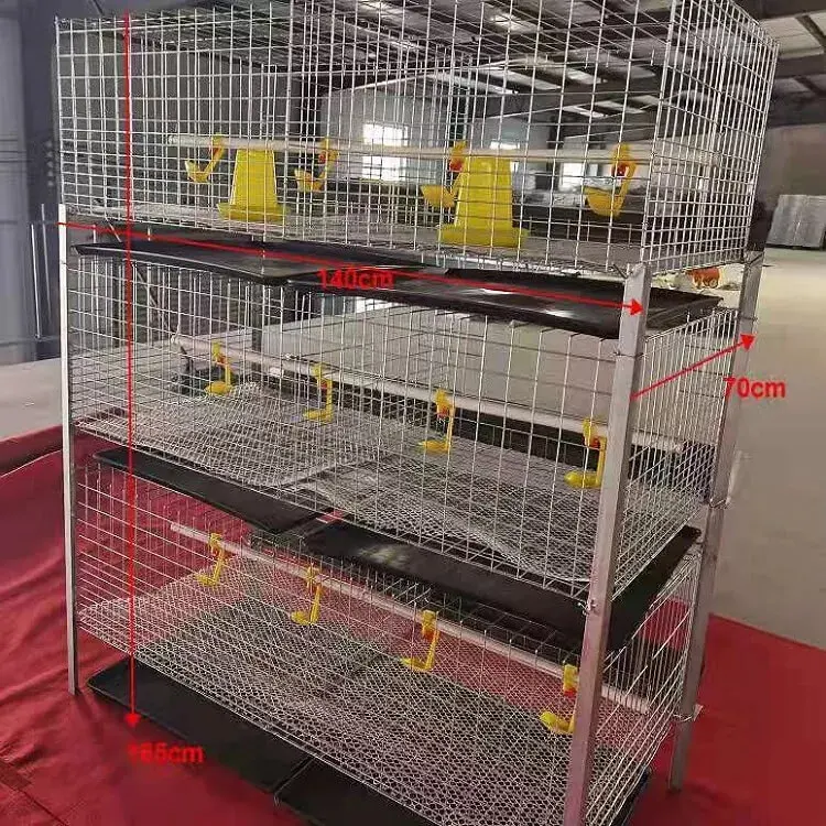Chicken Cage Little Baby Chicks Egg Broiler Chicken Cage with Automatic Drinking System