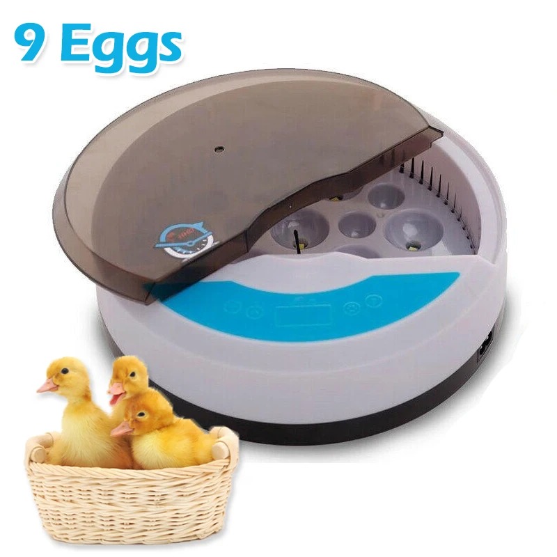 Small household 9 incubators automatic constant temperature chicken, duck and bird egg incubator Rutin chicken egg incubator