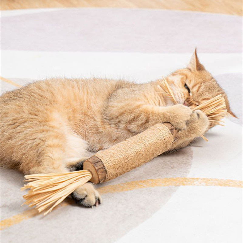 Cat Toys Natural Matatabi Pet Cat Snacks Stick Cleans Tooth Removers Hair to Promote Digestion Silvervine Kitten Chew Toy