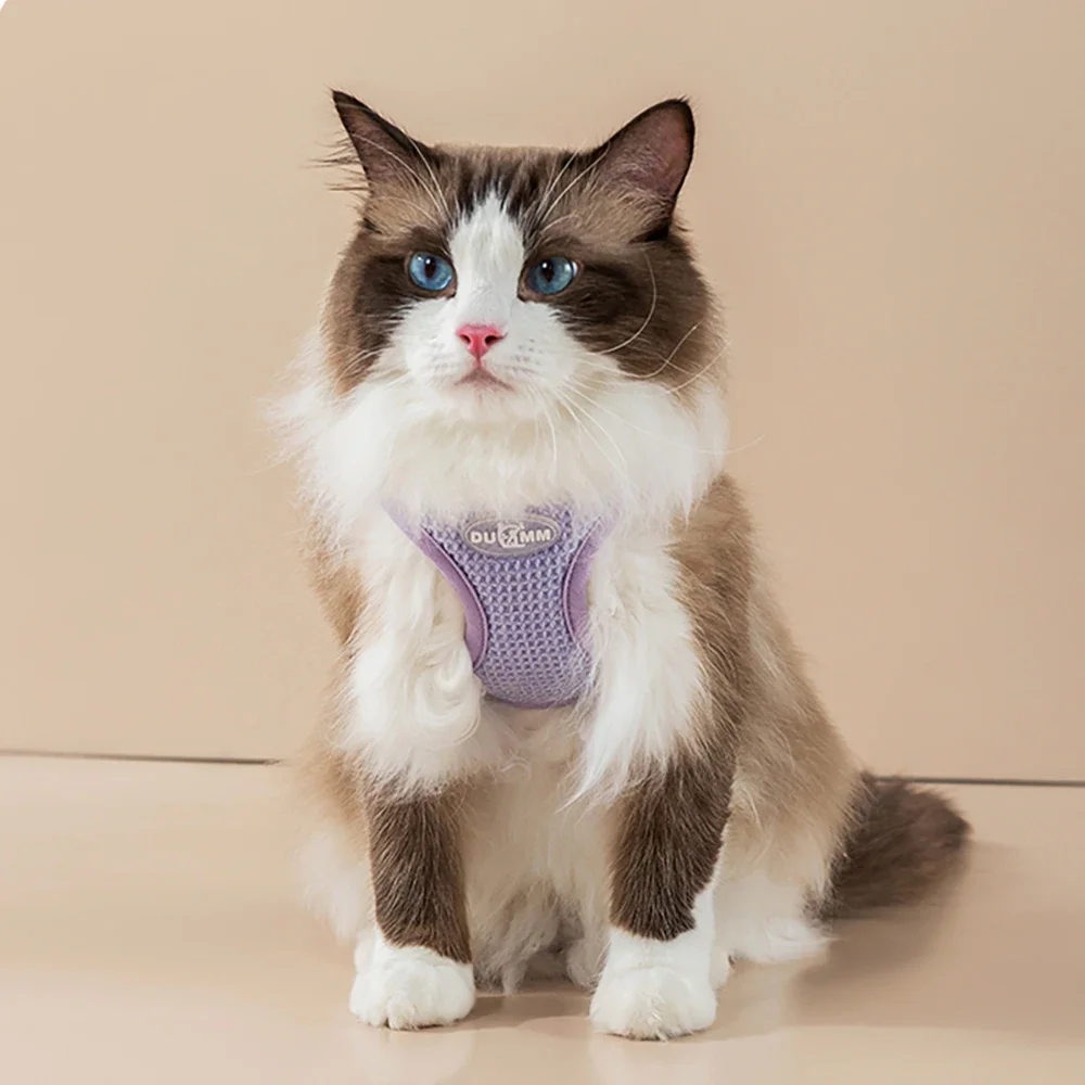 Escape Proof Cat Harness and Leash Set Adjustable Mesh Dog Harness Vest Puppy Pet Walking Leash Small Dogs Cats Kitten