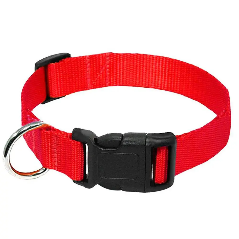 Nylon Webbing Dog Collar Heavy Duty Clip Buckle Solid Pet Basic Collar for Small Medium Dog Chihuahua Teddy Keji Pitbull Bulldog