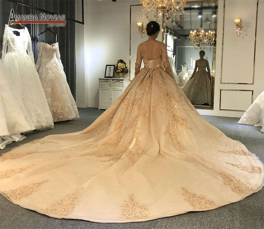 Sleeves Champagne Ball Gown Wedding Dress With Long Train