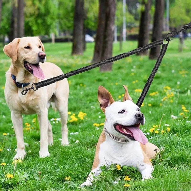 Pet Three-head Leash, Can Walk Two Pets At The Same Time, Nylon Retractable Leash Outdoor Car Dog Cat Leash