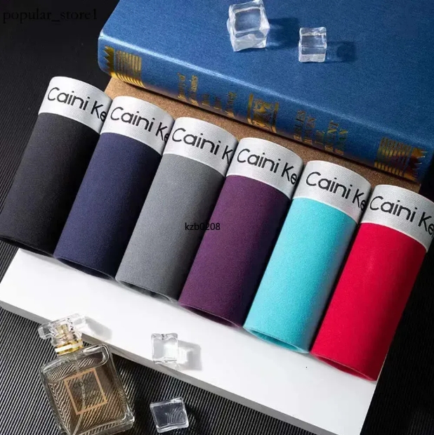 2024 New Fashion Designer Underwear Men Boxer Shorts Men Soft Underwear Men Luxury Brand Comfort Boxer Shorts Men Multicolor Boxer Shorts Stripes