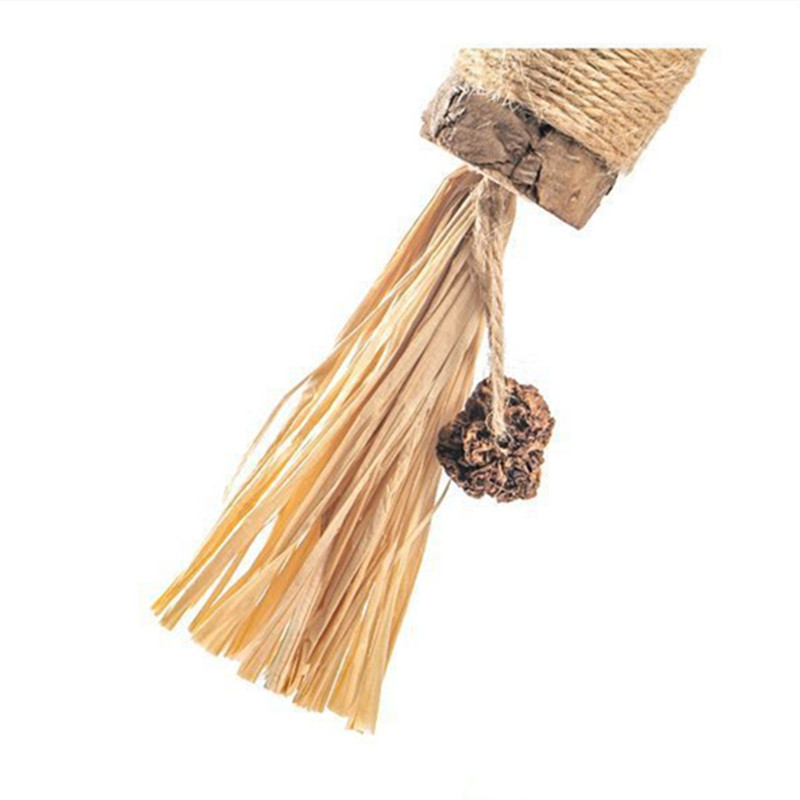 Cat Toys Natural Matatabi Pet Cat Snacks Stick Cleans Tooth Removers Hair to Promote Digestion Silvervine Kitten Chew Toy