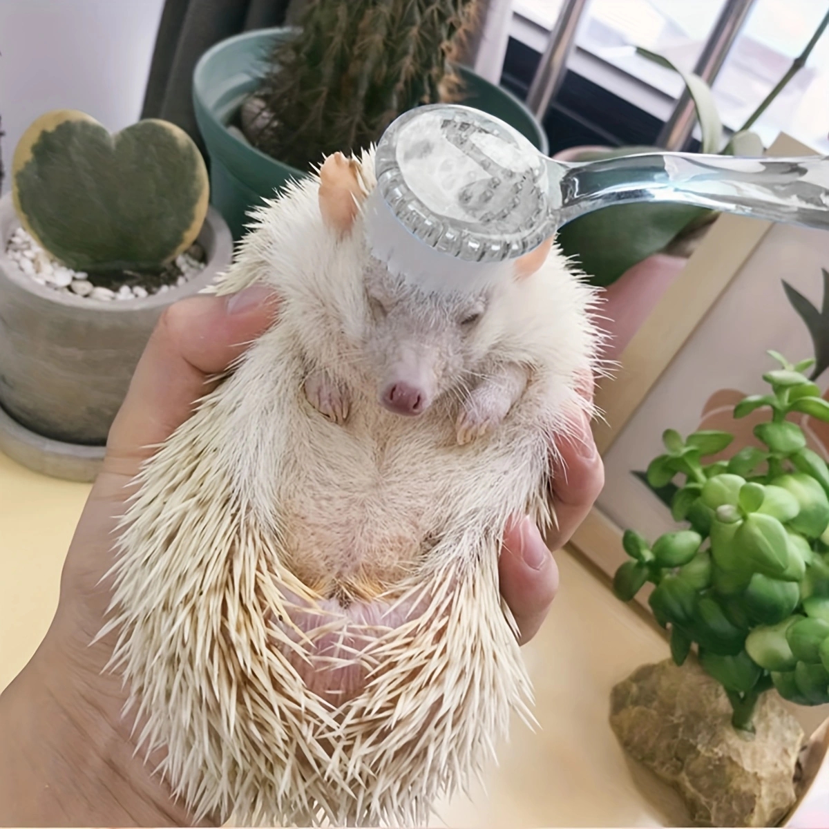 1pc Clear Hamster Massage Brush, Transparent Small Pet Cleaning Brush