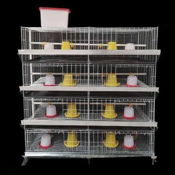 Chicken Cage Little Baby Chicks Egg Broiler Chicken Cage with Automatic Drinking System