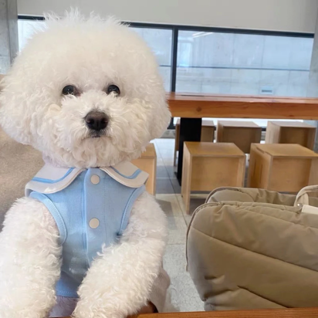 Dog Clothes Pet Cat Fur-proof Small Vest Clothing