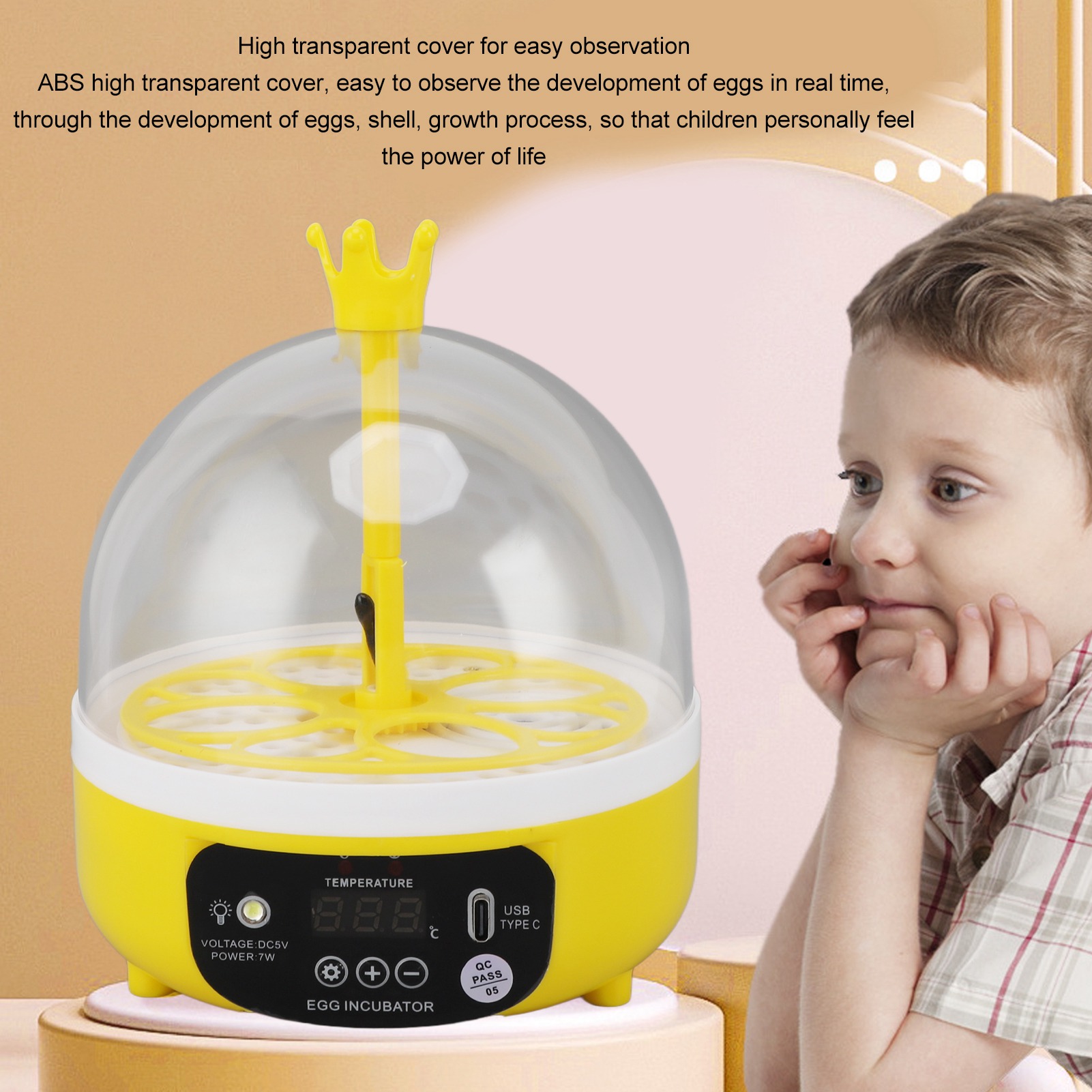 Egg Incubator Automatic Temperature Humidity Control Noiseless Poultry Hatching Machine with Insulation Foam for School