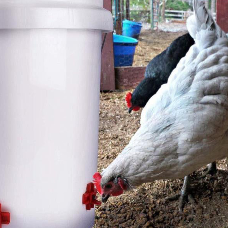 10 Pcs Automatic Chicken Nipple Drinker 360 Degree Bucket Water dispenser Cross-shaped Duck Waterer Hens Quail Pigeon Drinker