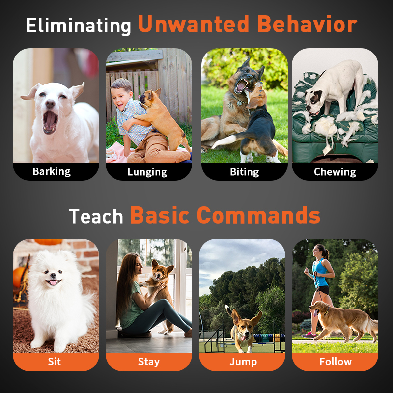 2024 New Arrival Long Range Rechargeable Dog Care Anti Barking Dog Remote Led Display Dog Training Collar With Beep Vibration