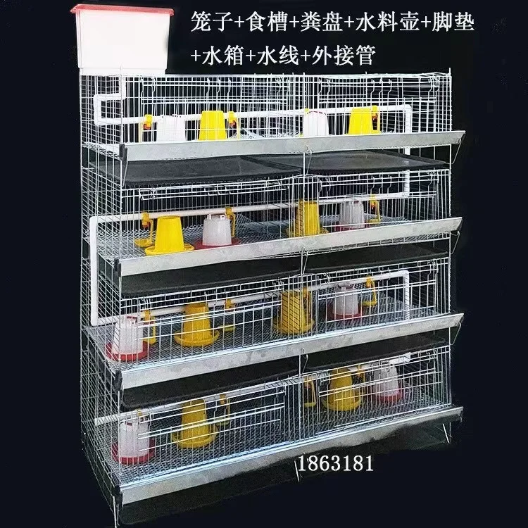 Chicken Cage Little Baby Chicks Egg Broiler Chicken Cage with Automatic Drinking System