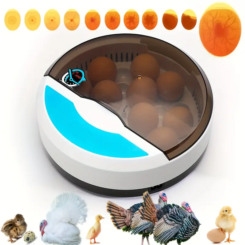 Small household 9 incubators automatic constant temperature chicken, duck and bird egg incubator Rutin chicken egg incubator