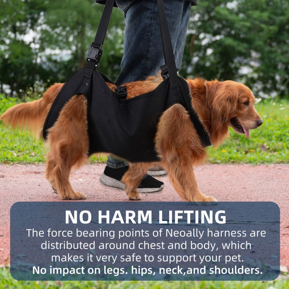 Pet Dog Carrier Traction Belt Senior Dog Assistance Belt Oxford Cloth Dog Booster Belt Pet Supplies