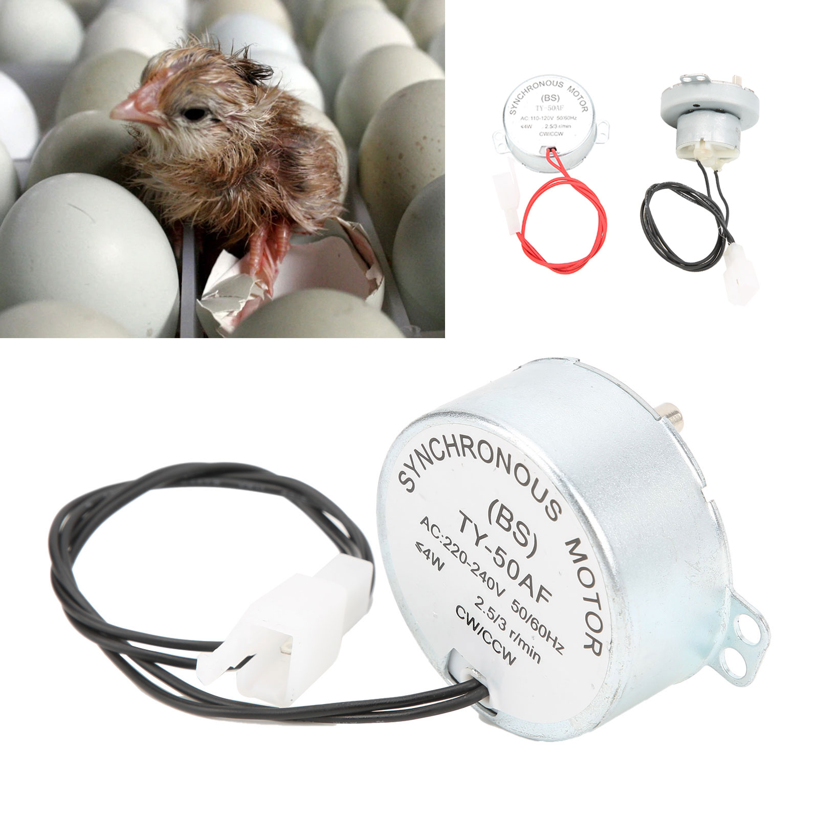 Automatic Incubator Motor CW / CCW Dual Mode Low Speed Egg Turning Mini Incubator Equipment Incubator Motor Egg Incubator Motor