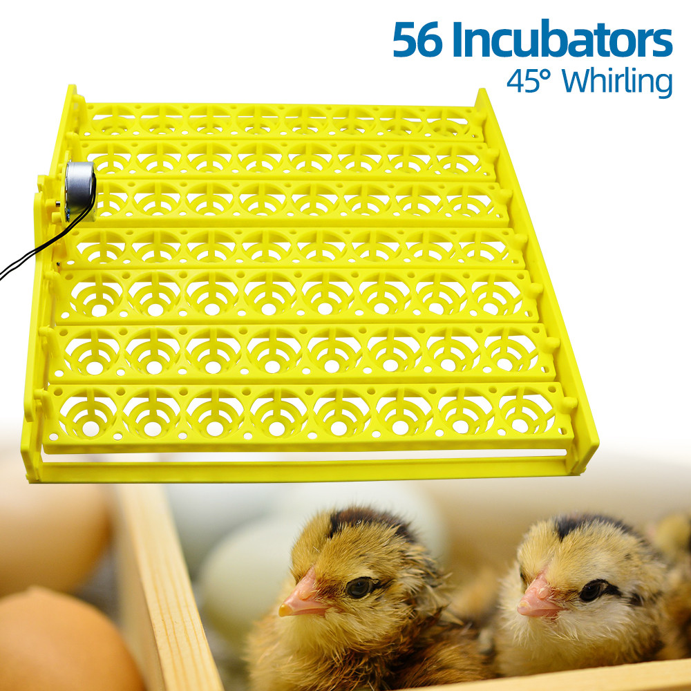220V Automatic Egg Incubator Capacity 56/154 Duck Chicken Plastic Egg Tray Incubator Trays Hatching with Auto Turn Motor