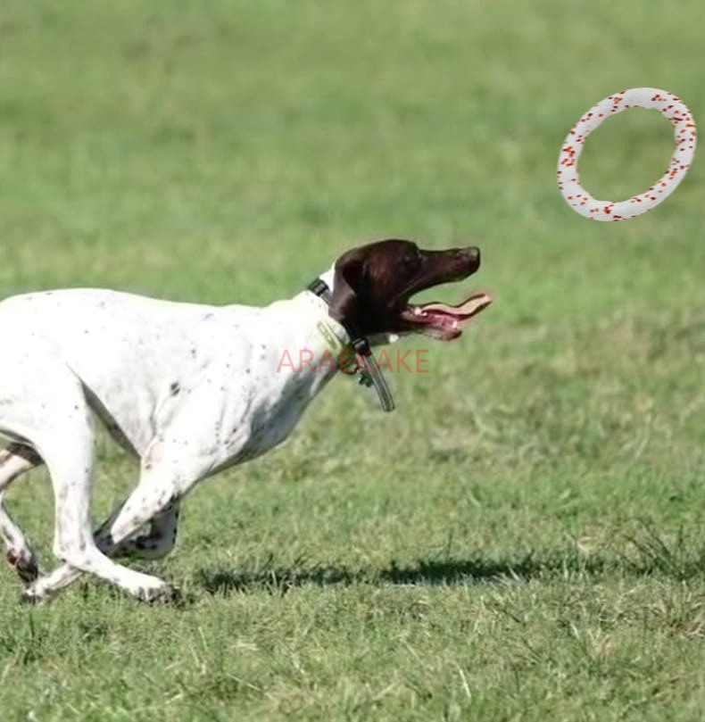 Pet Dog Toy Outdoor Tug of War Training Interactive Bite Resistant Teeth Grinding