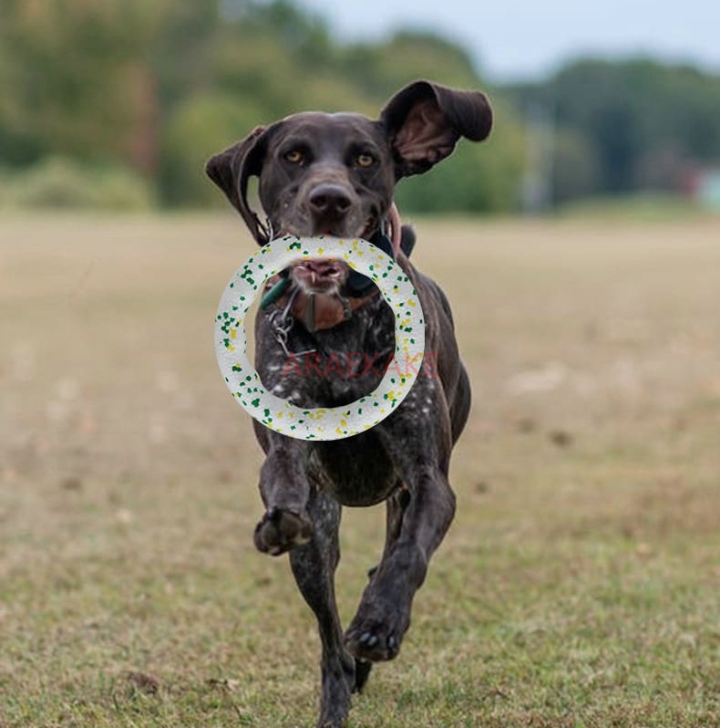 Pet Dog Toy Outdoor Tug of War Training Interactive Bite Resistant Teeth Grinding