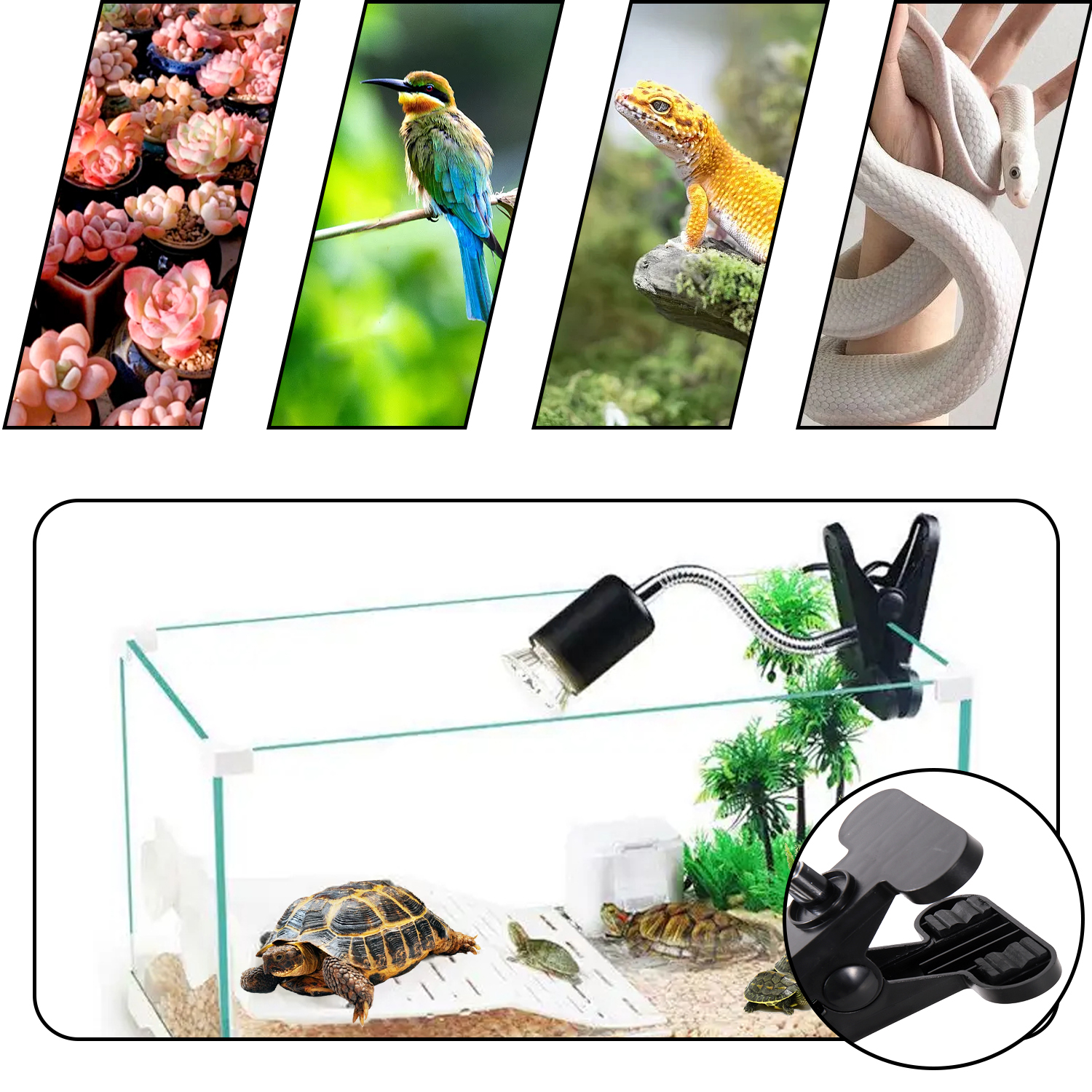 E27 360° Revolving Light Stand EU Lamp Holder Adjustable Brightness LED UVA Heat Lamp Clip For Reptile Pet Turtle Back Light