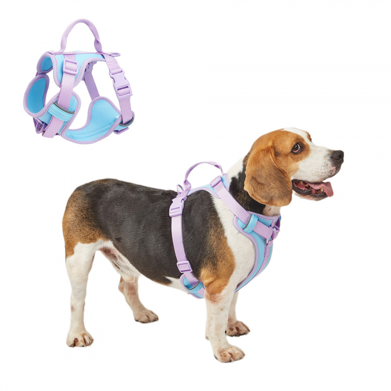 New Dog Breast Strap Breathable Comfortable Soft Pet Vest Durable Wear-Resistant Dogs and Cats Supplies