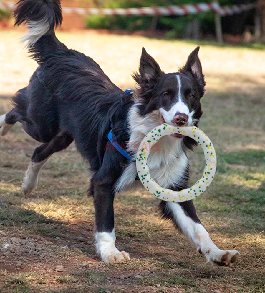 Pet Dog Toy Outdoor Tug of War Training Interactive Bite Resistant Teeth Grinding